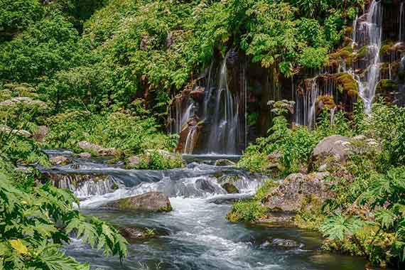 Dashbashi ravijn en watervallen