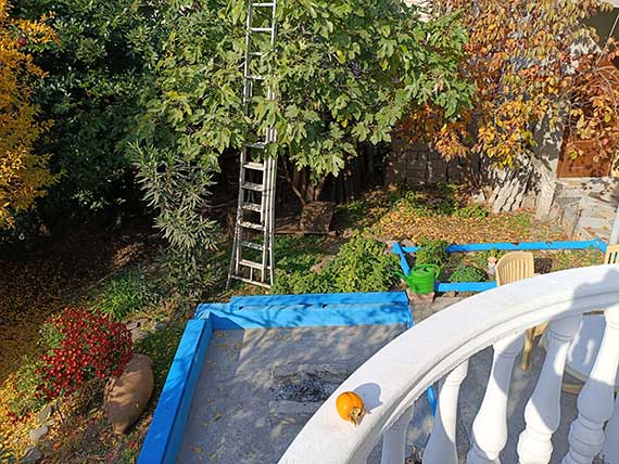 Garden viewed from the stairs
